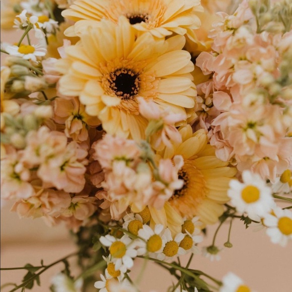 Meet your Posher, B - Picture 1 of 1